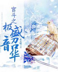 宫斗之极盛韶华